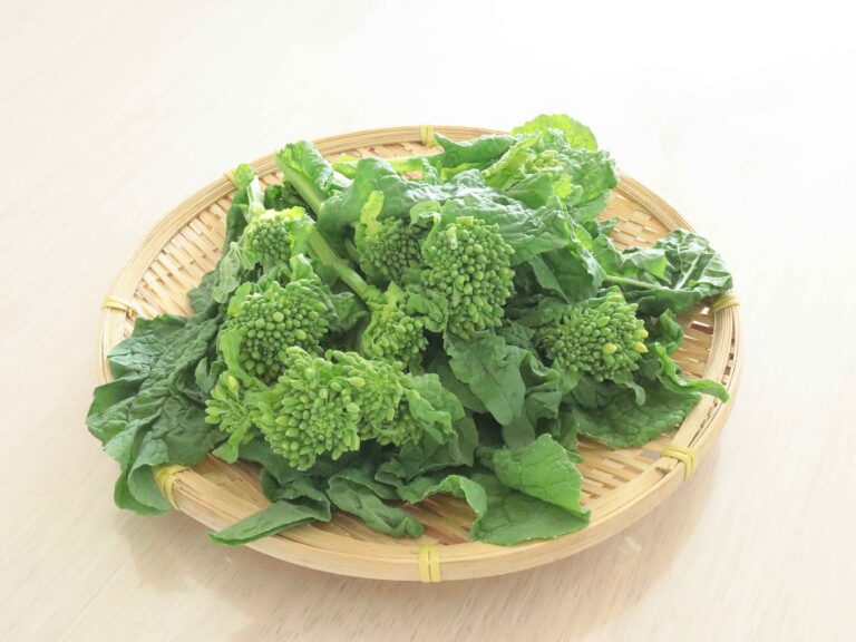 【見るべき場所は3つ】旬の「菜花」スーパーでおいしいものを選ぶときのチェックポイントは？