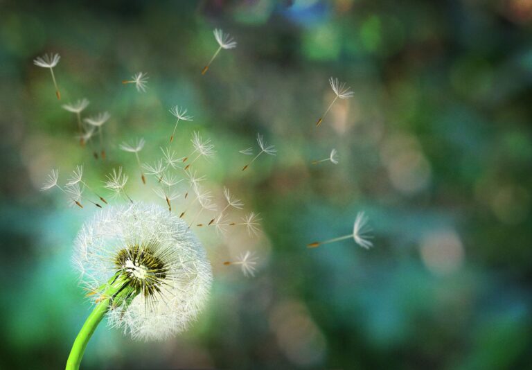 風はどうして吹くの？どうやって風は強くなる??意外と答えられない天気の疑問を気象予報士が解説