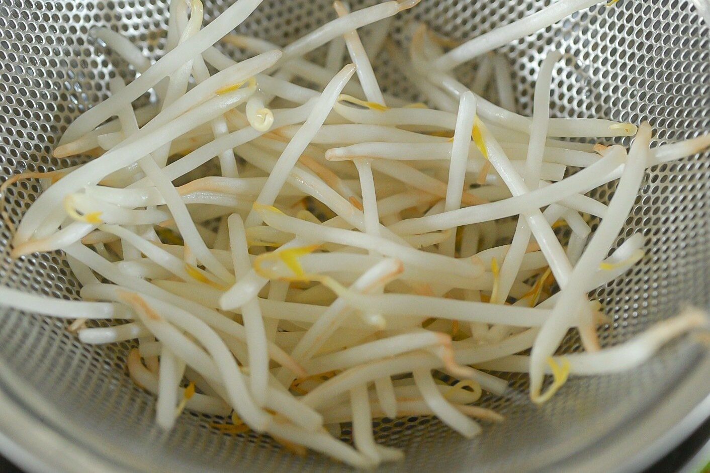 ザルに入ったもやし