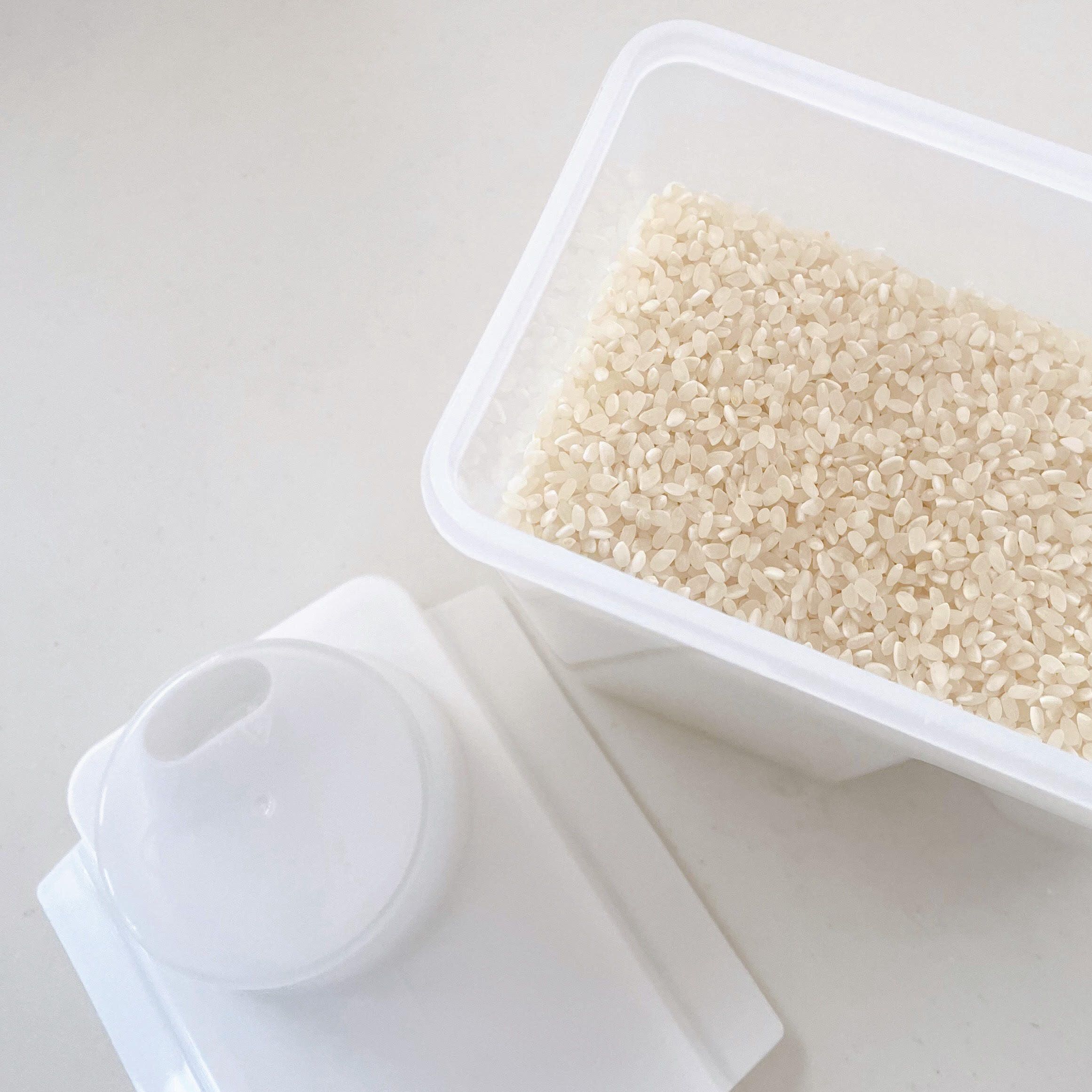 お米専用保存容器　ダイソー