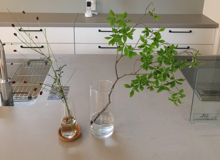 「もっと早くすれば良かった…」デキる妻の家族から褒められる家事貯金