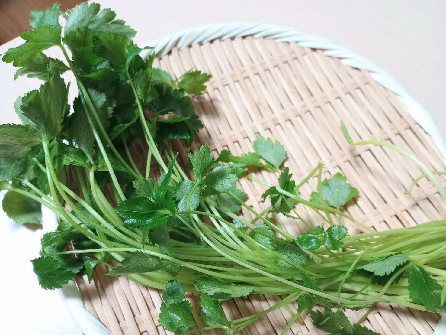 ザルにのった三つ葉