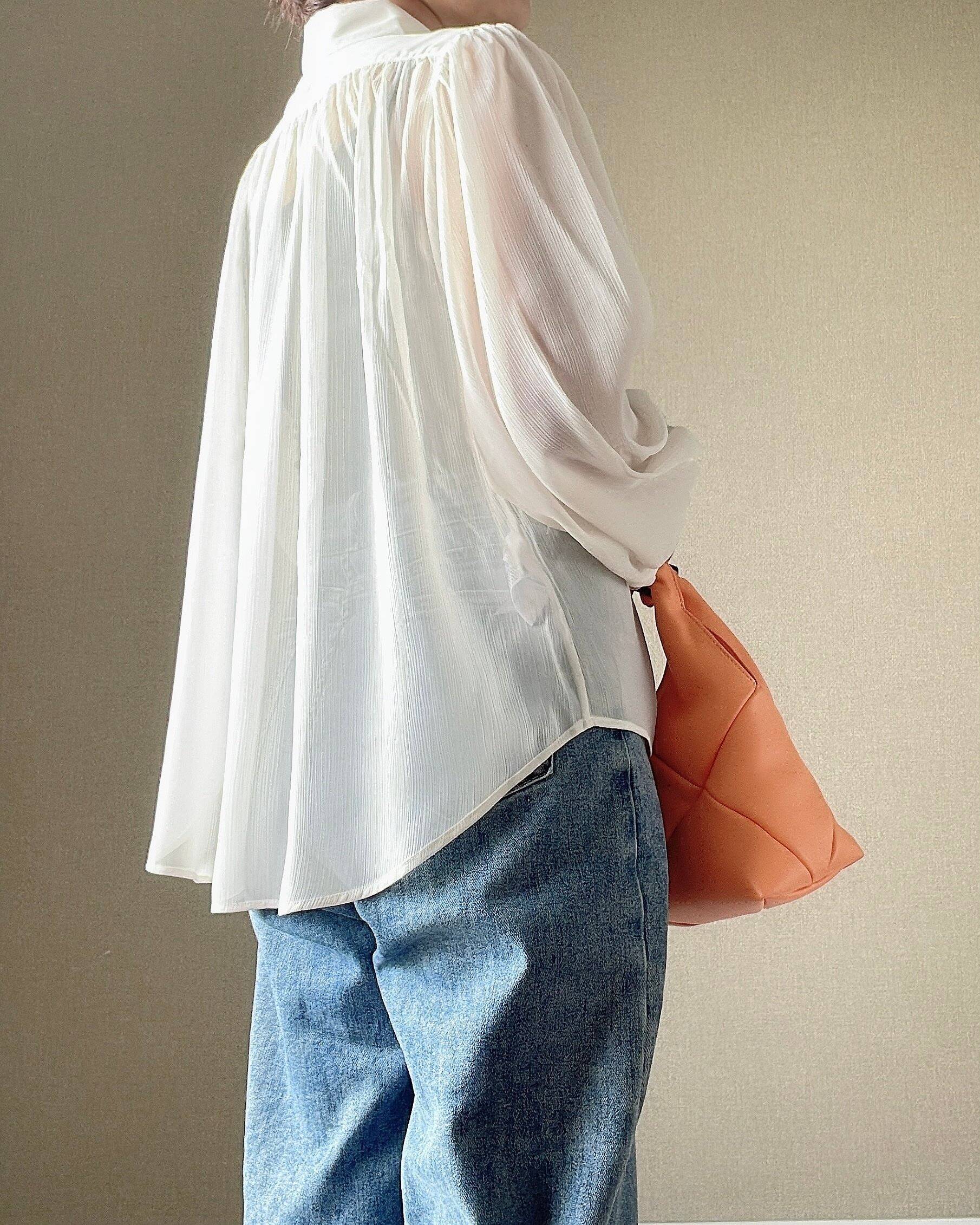 シアーボリュームブラウス