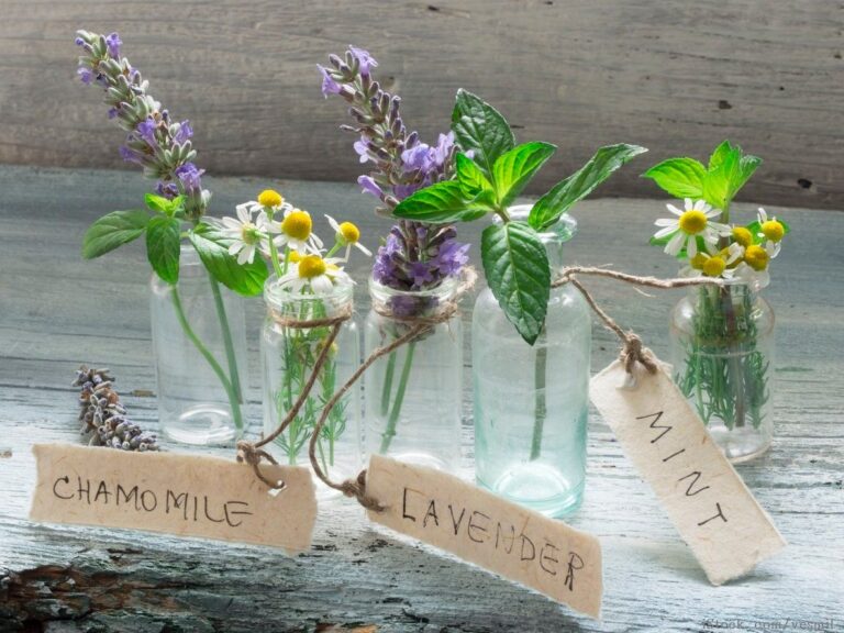 早起きは難しい？早寝早起きを習慣にするためにしたこと４選