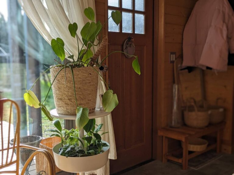 【暮らしの見直し】“小さな幸せの積み重ね“お金をかけないご機嫌な暮らし