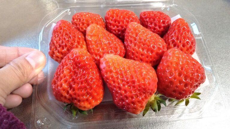 「いちご」を料理にも活用してみて！甘さ、酸味、香りが生きるドレッシングのレシピ