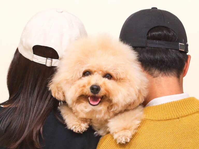 幸せな家族写真の撮影中、飼い主を遠ざけようとするワンコ!?得意そうな表情に6.6万人がほっこり