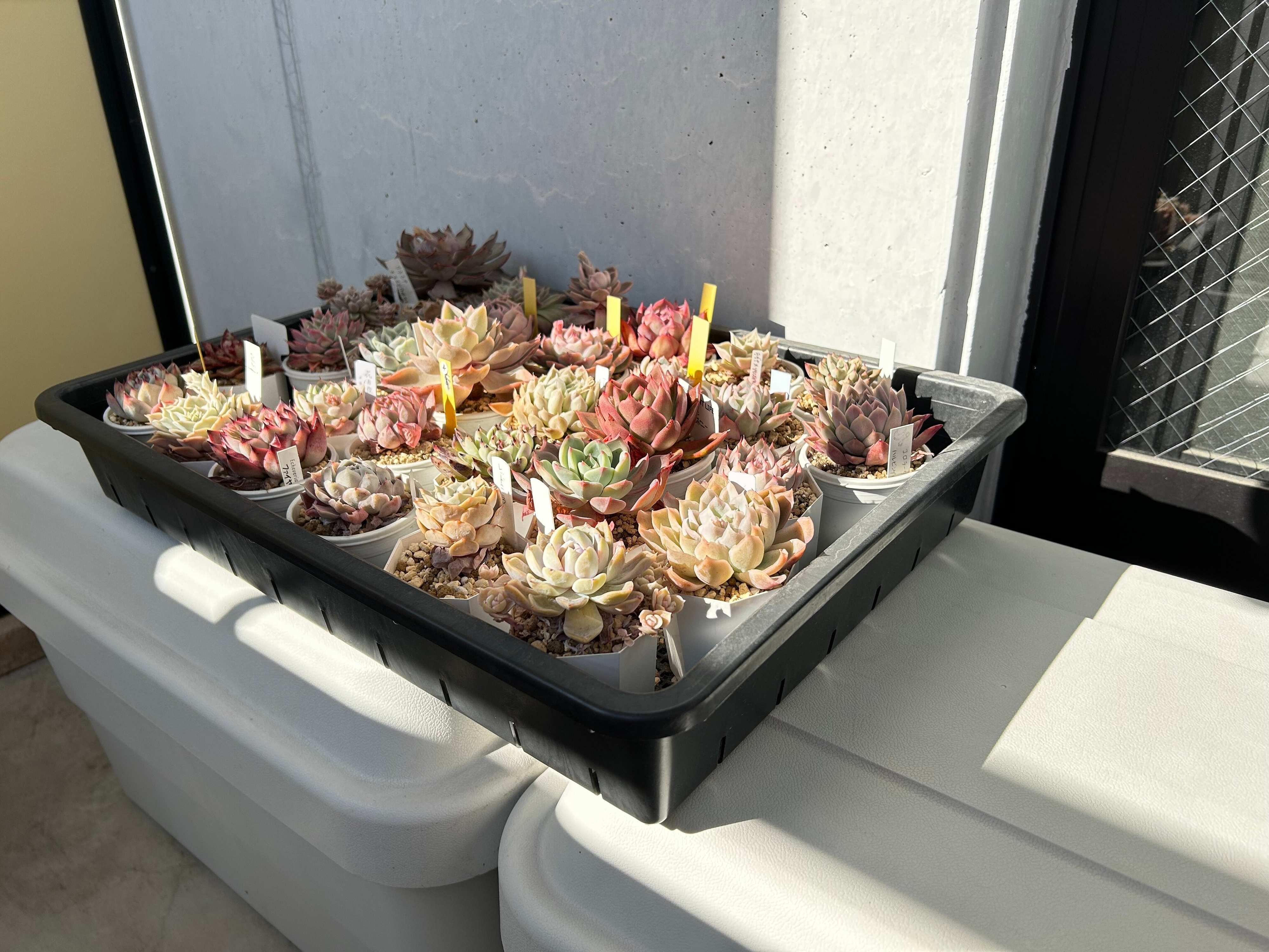 無印良品　収納ボックス