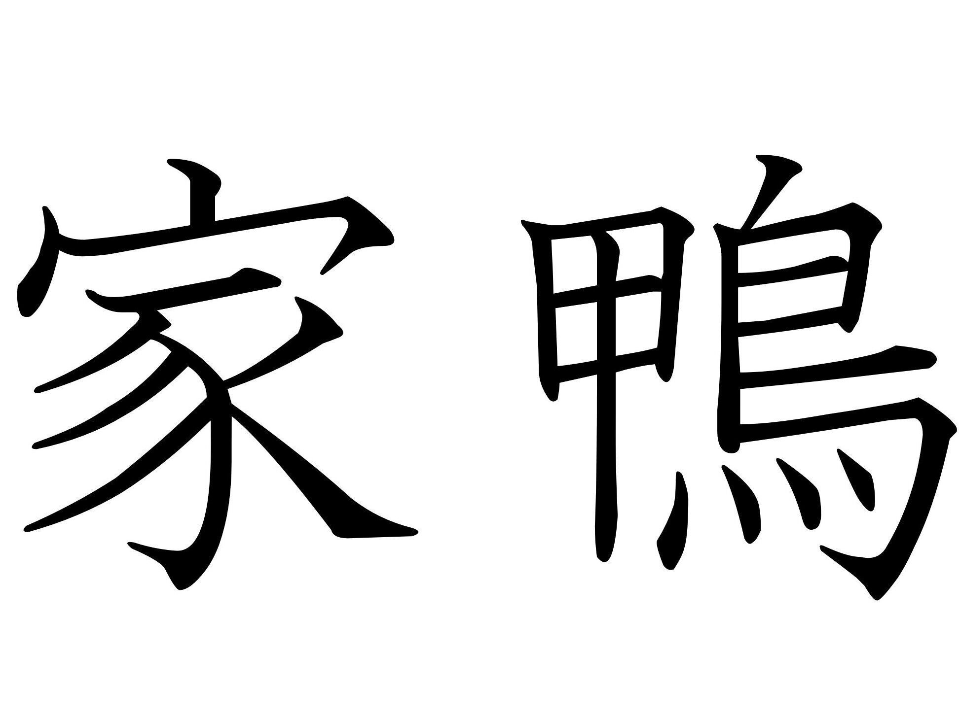 おもちゃの中から見つかるかも！難読漢字「家鴨」はなんて読む？