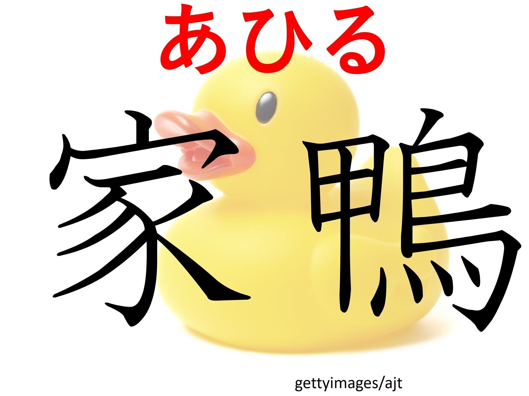 おもちゃの中から見つかるかも！難読漢字「家鴨」はなんて読む？