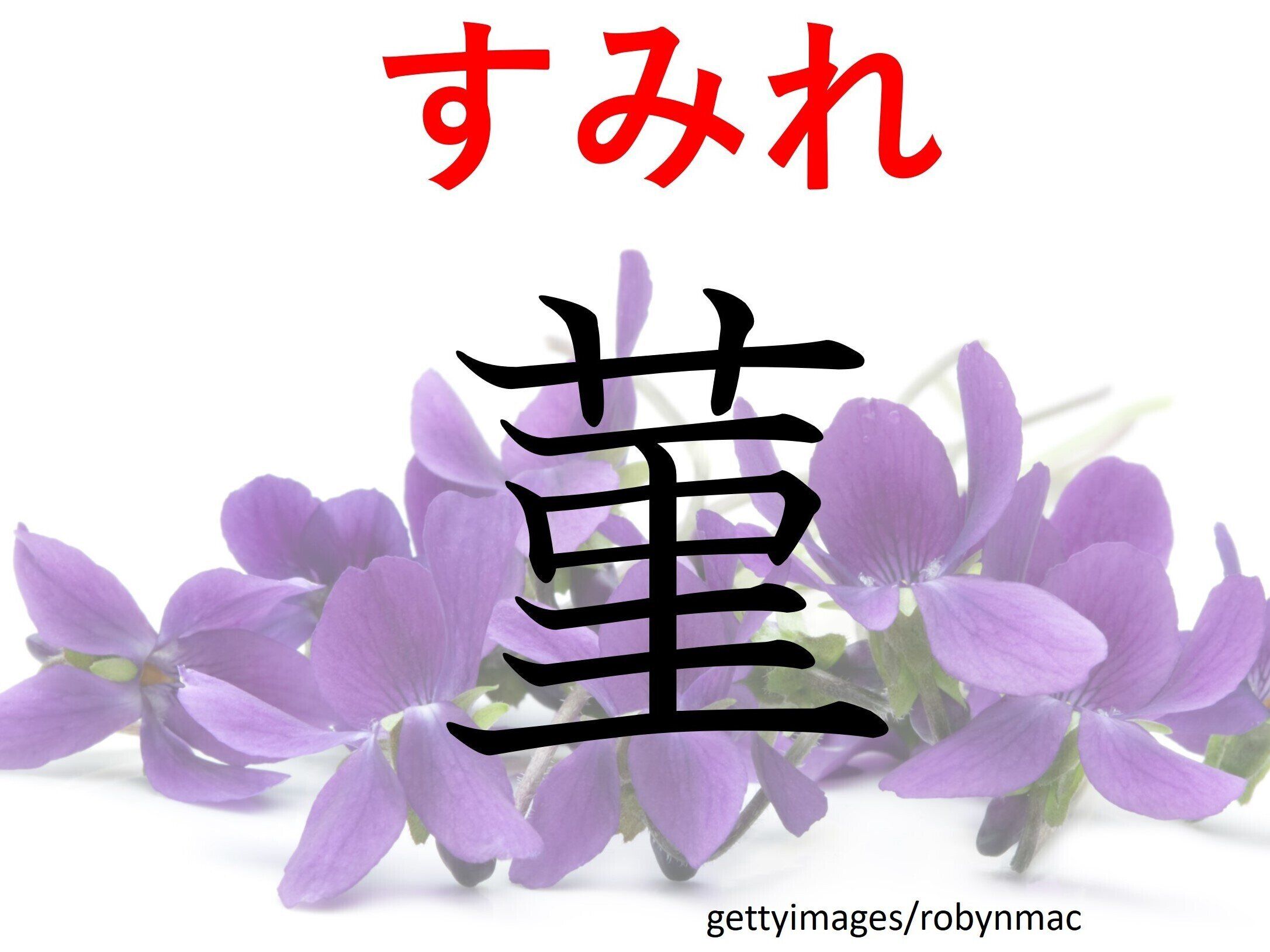 紫色じゃないものも!じつは食べられる?難読漢字「菫」はなんて読む?