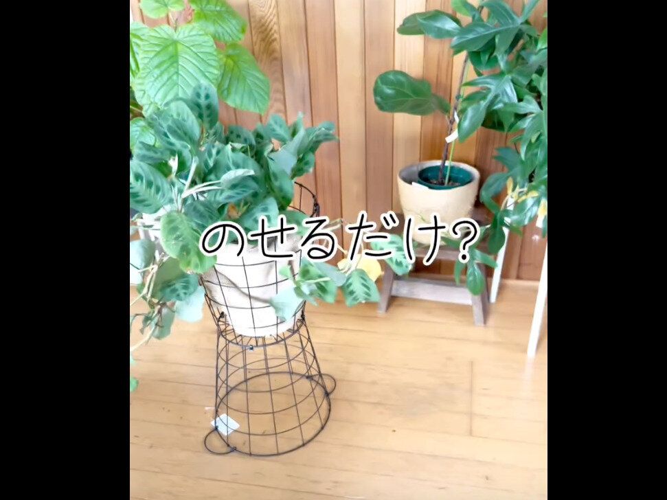 【ダイソー】乗せるだけでOK!ワイヤーバスケット花台