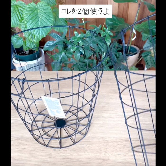 【ダイソー】乗せるだけでOK!ワイヤーバスケット花台