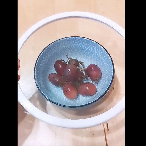 【セリア】ポンと推すだけ！ワンプッシュラップ