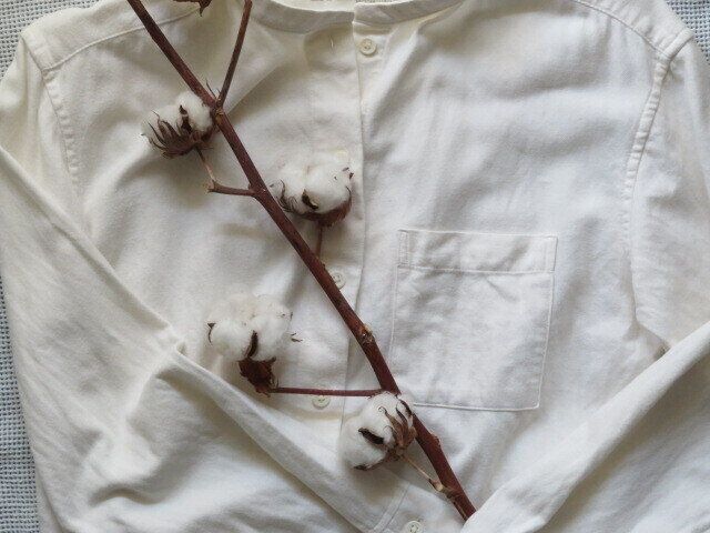 品質に変わりがなくてもオーガニックを選ぶ理由