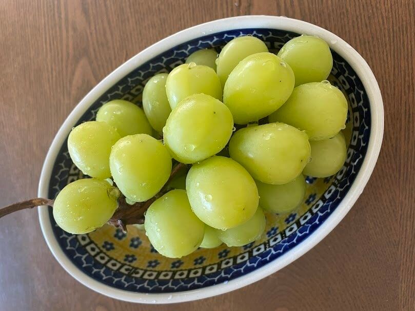 結局シャインマスカットをたくさん食べられた！
