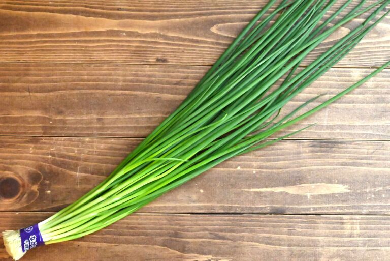 「小ねぎ」をそのまま捨てないで！小ねぎの再生方法と簡単副菜レシピ