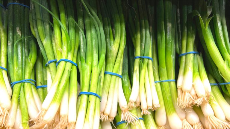 【時短家事】カチカチ卒業！簡単すぎる冷凍刻みネギがパラパラになる裏ワザ