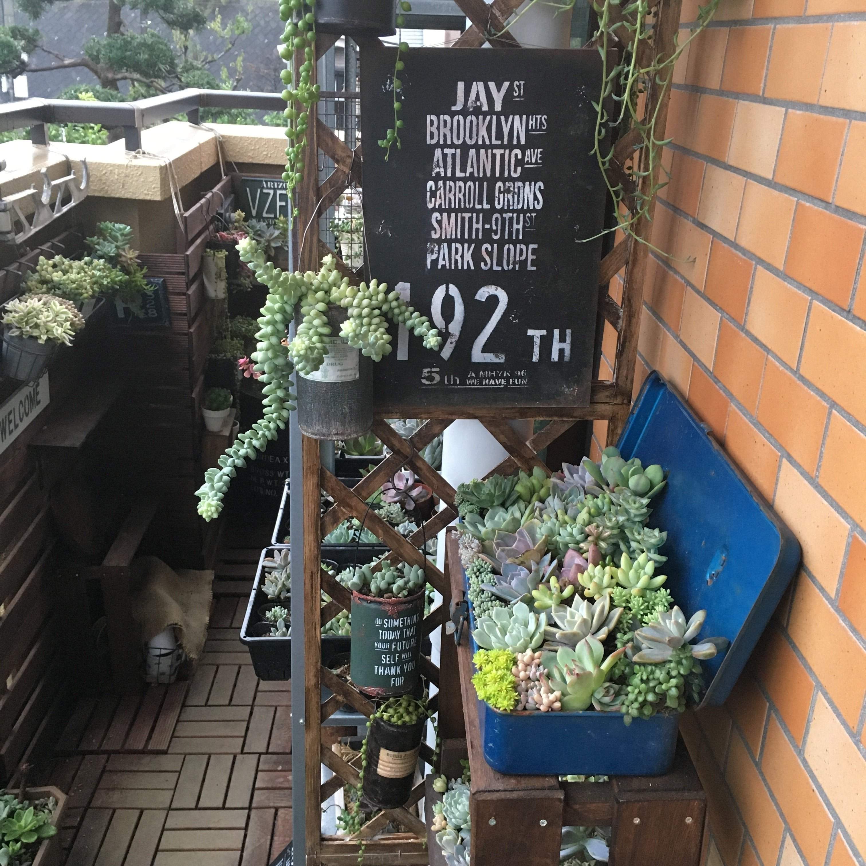 転勤族 ガーデニング やめたこと