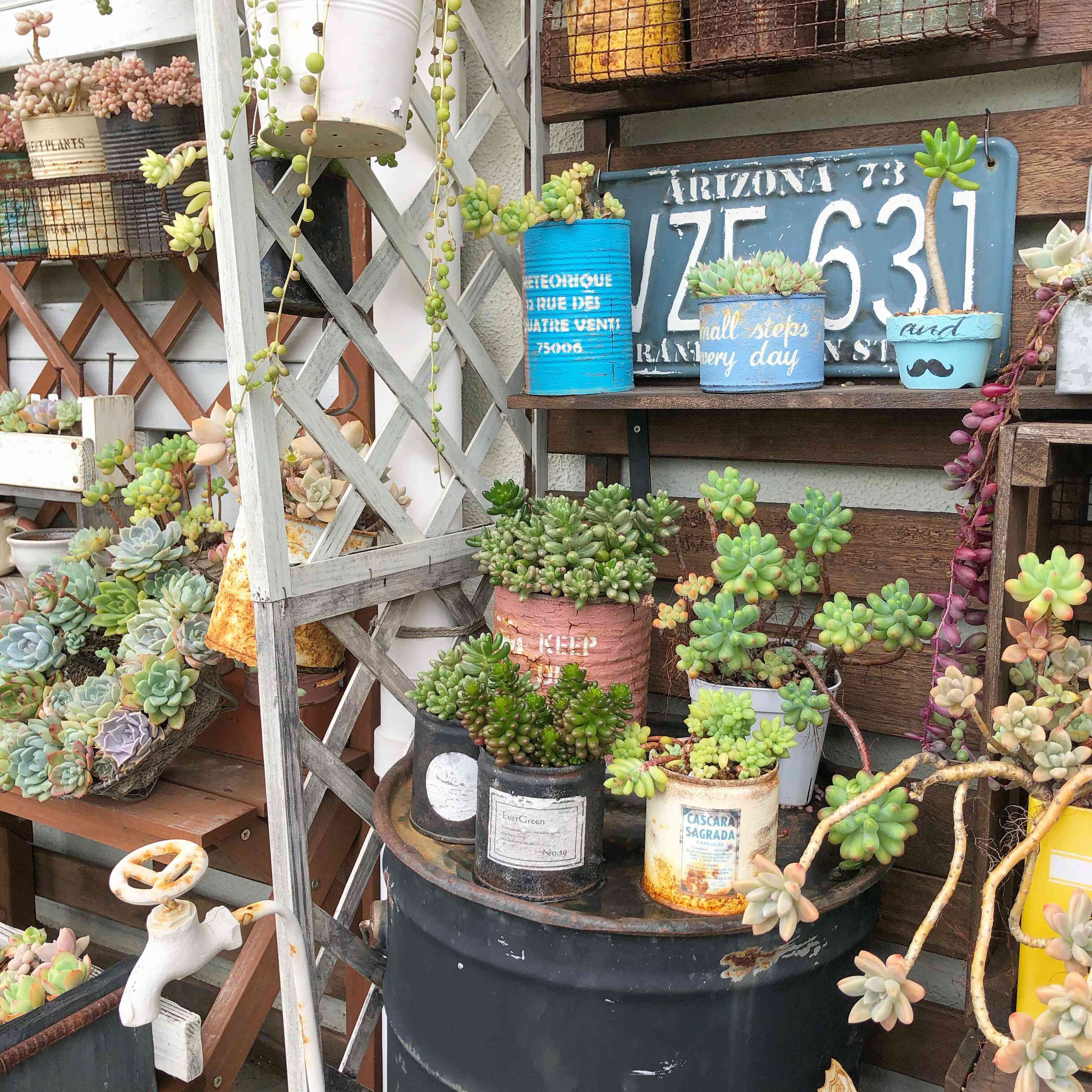 転勤族 ガーデニング やめたこと