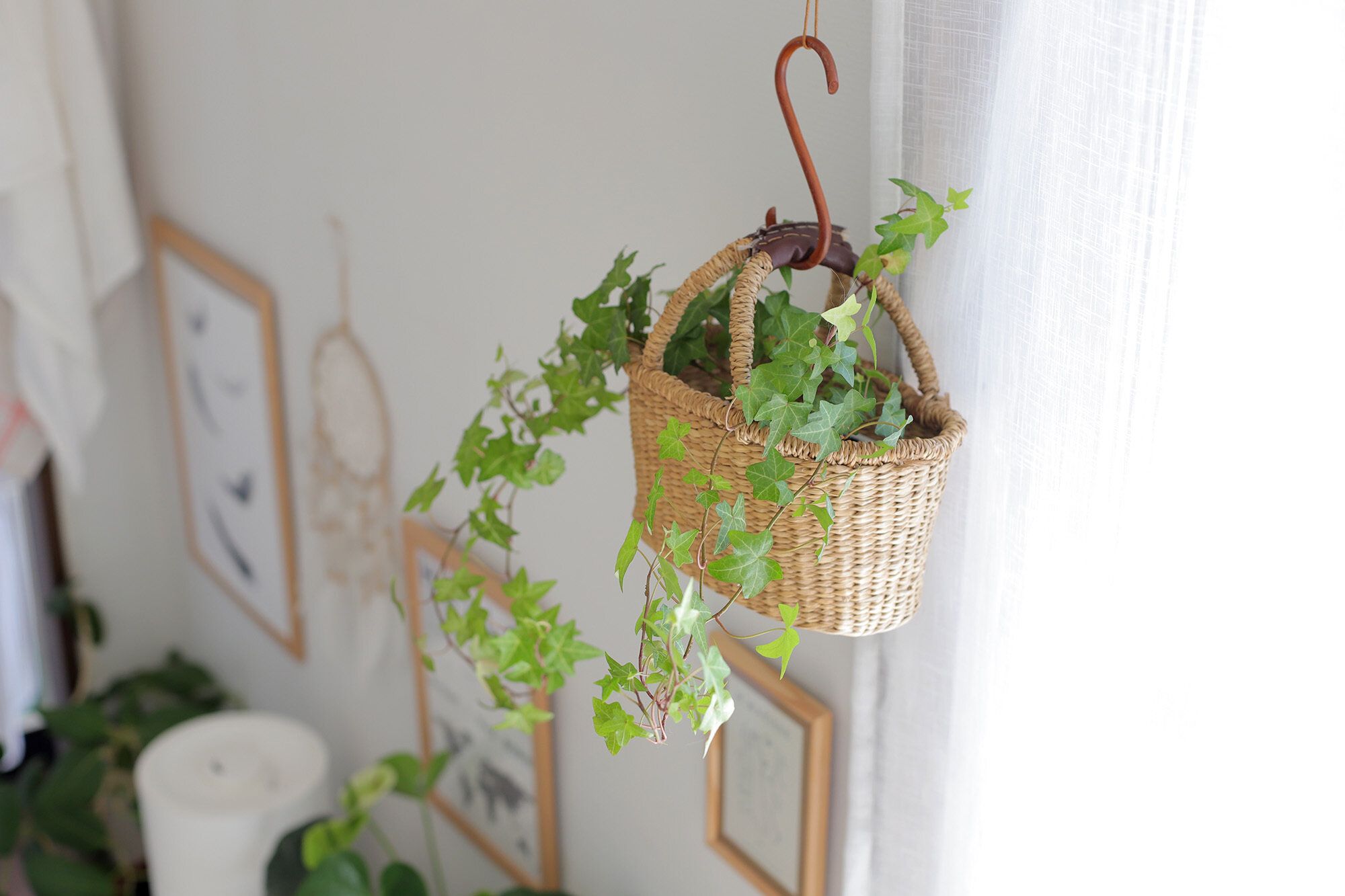 ハンギングプランター