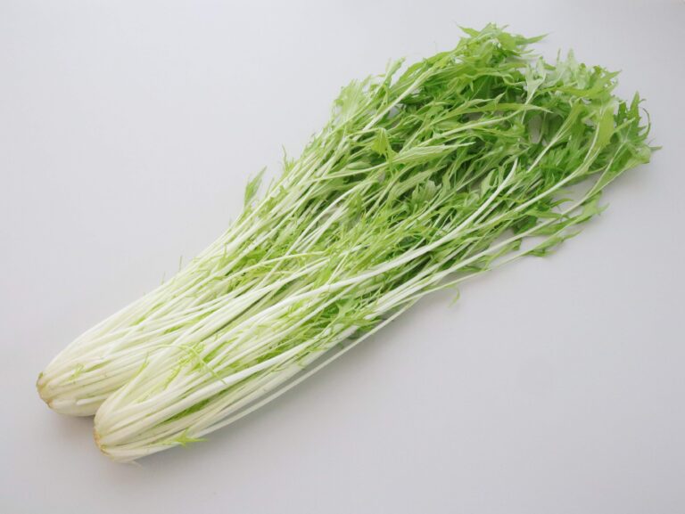 旬の「水菜」スーパーで買うときにおいしいものを見分けるコツとは？