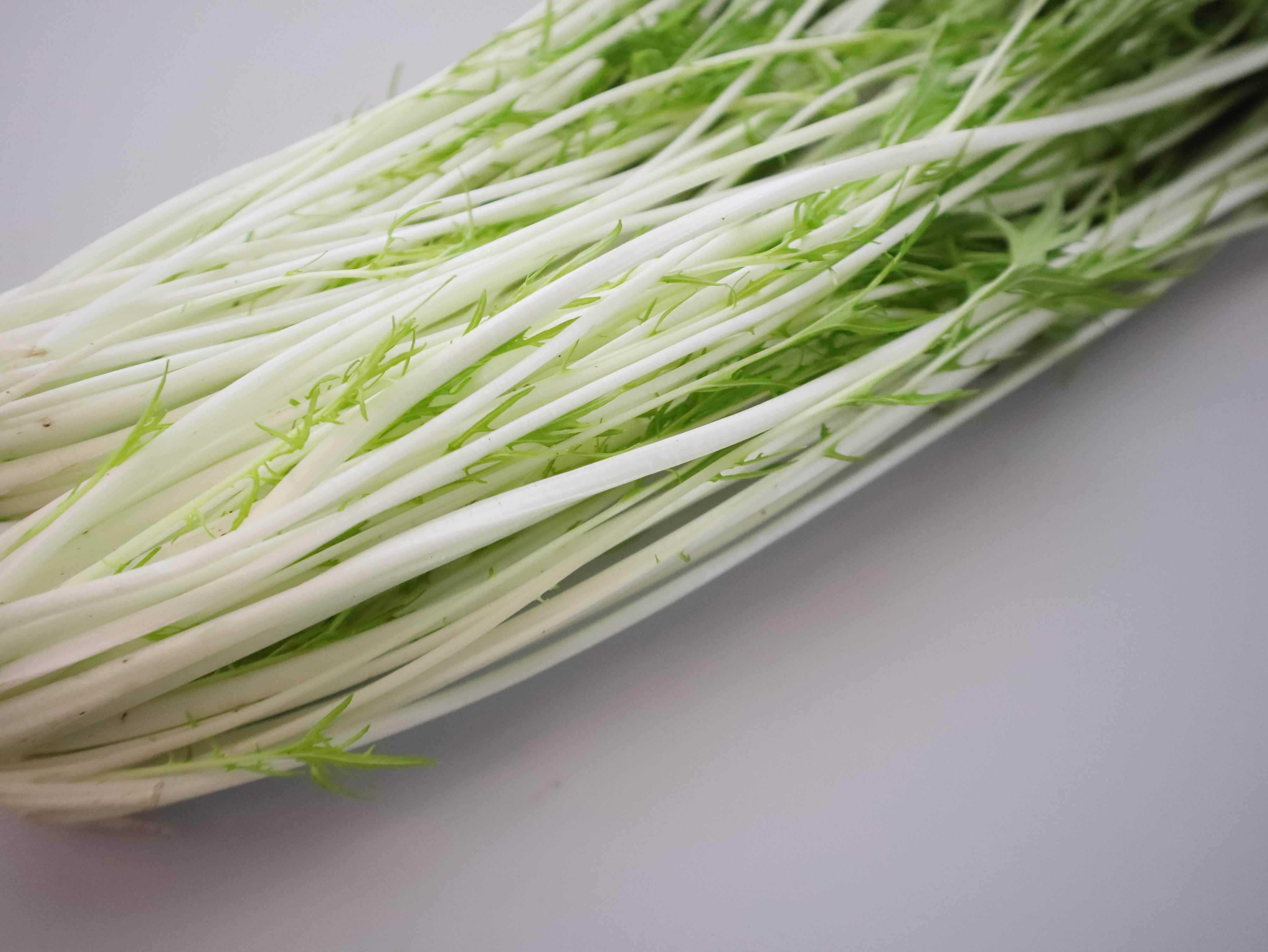 茎が白くまっすぐ伸びている