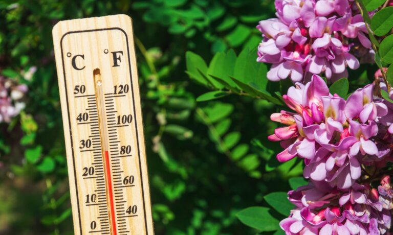 「夏日」は何月から？春と夏の暑さはどう違う??今だからこそ気をつけたいポイントを気象予報士が解説