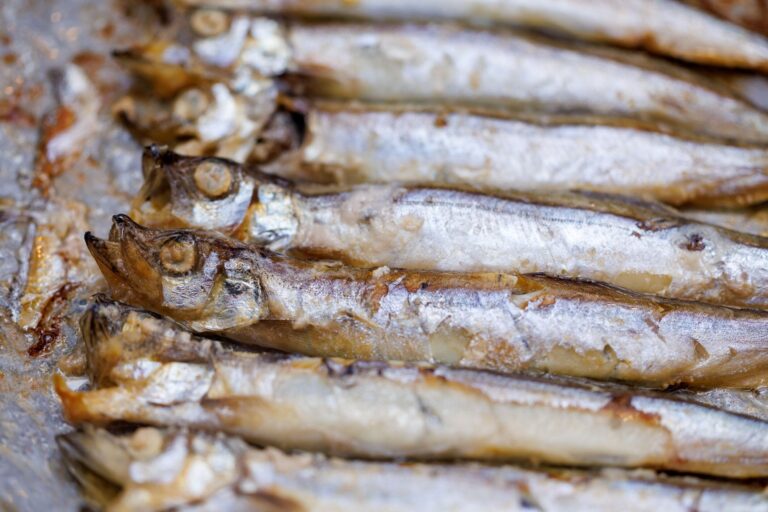 塩焼きだけじゃないよ♪魚不足には「ししゃも」がおすすめ！ししゃもの簡単アレンジレシピ3選