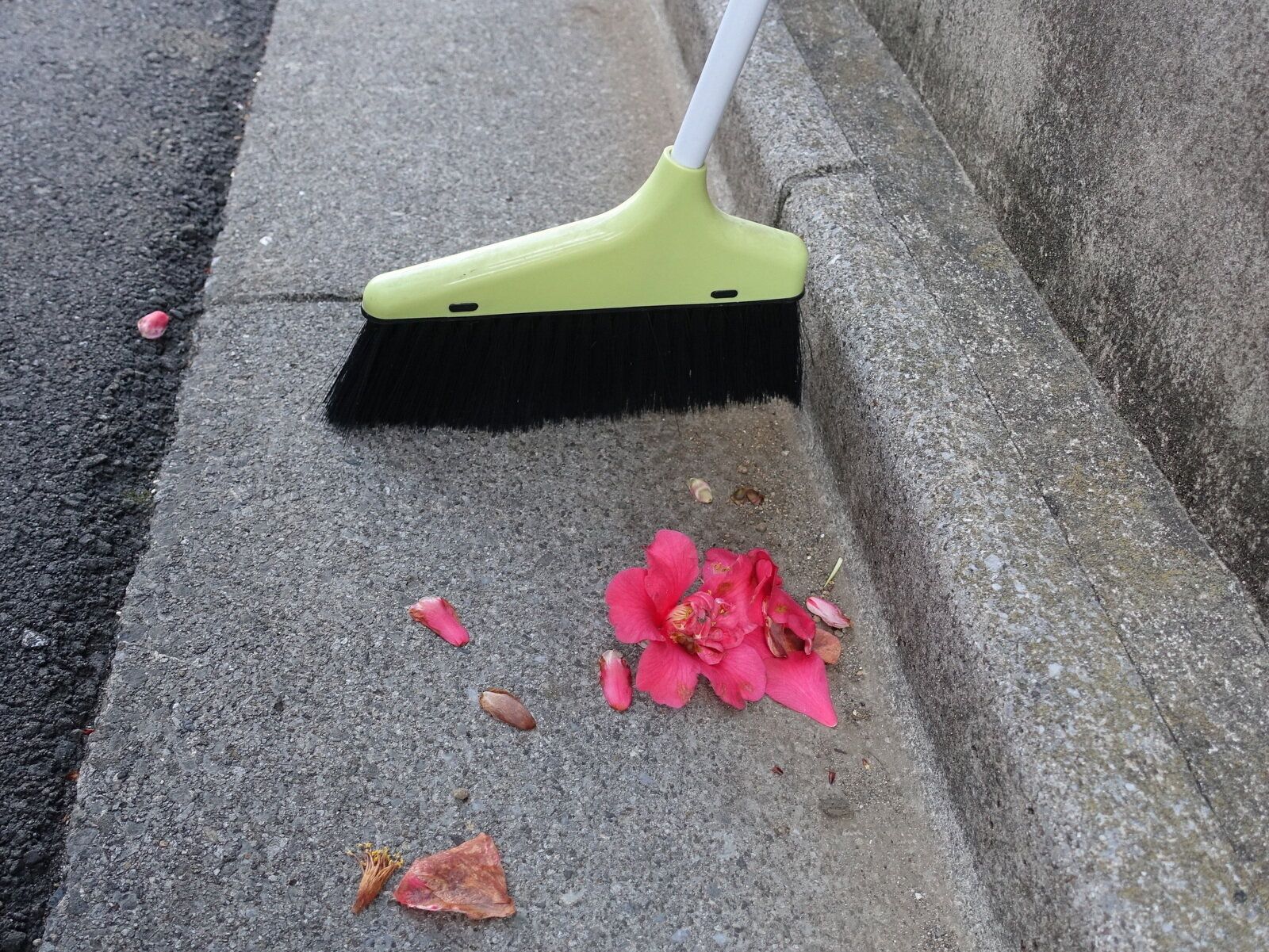 家事のプロも推奨！大型連休中に春の大掃除を