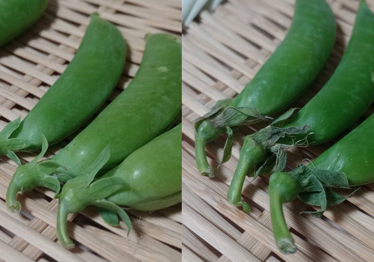 スナップエンドウのがく