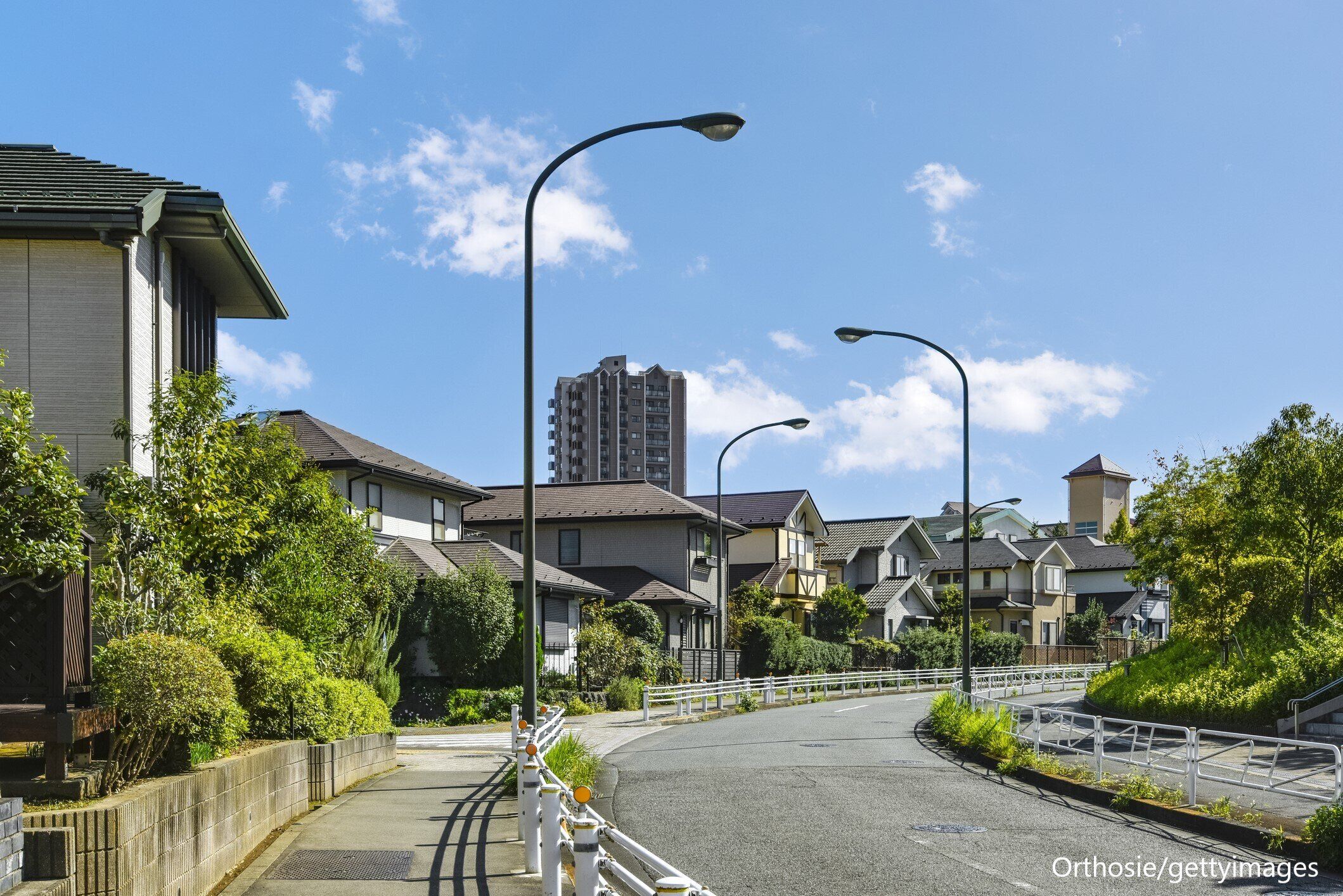 住宅街で見かける野鳥
