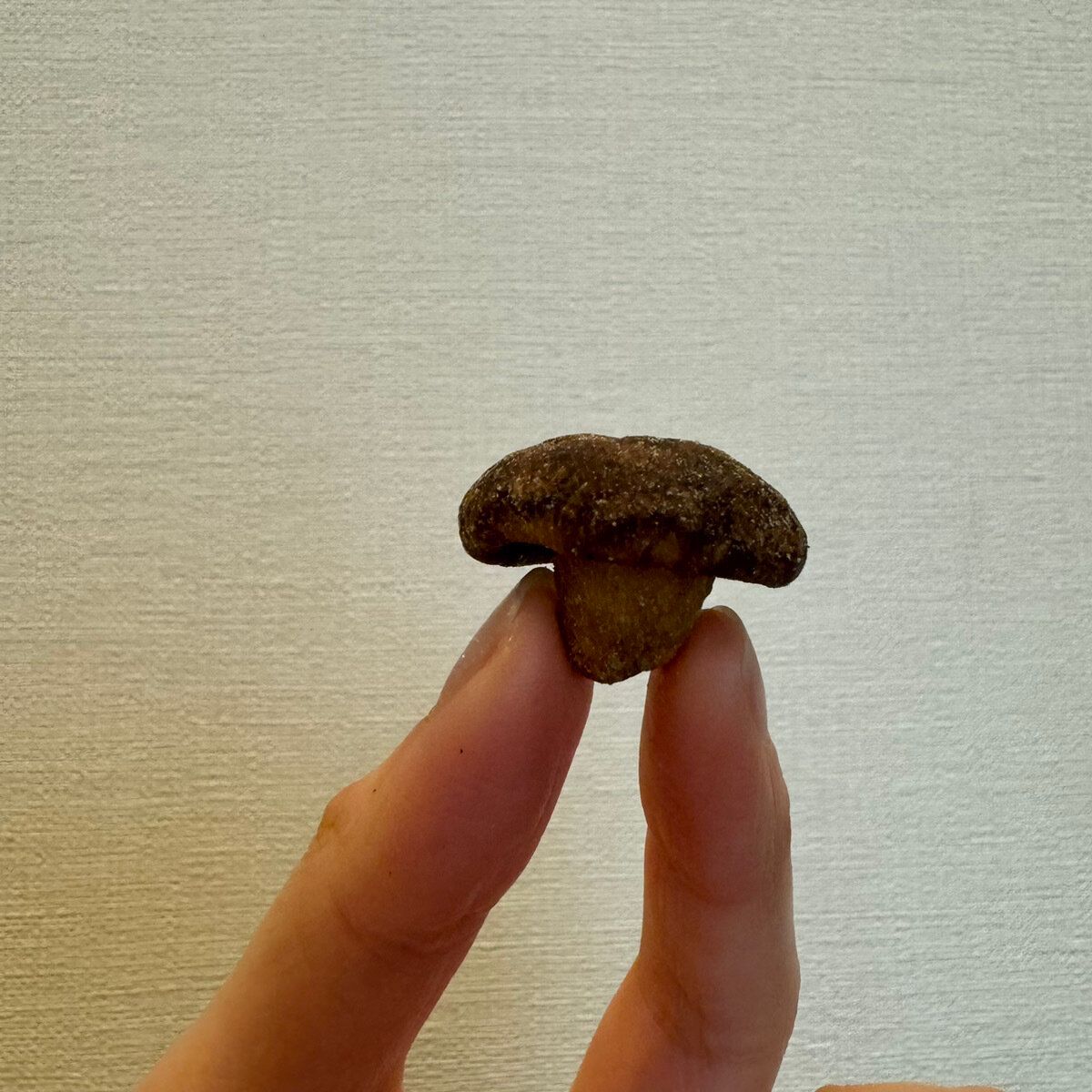 きのこチップス