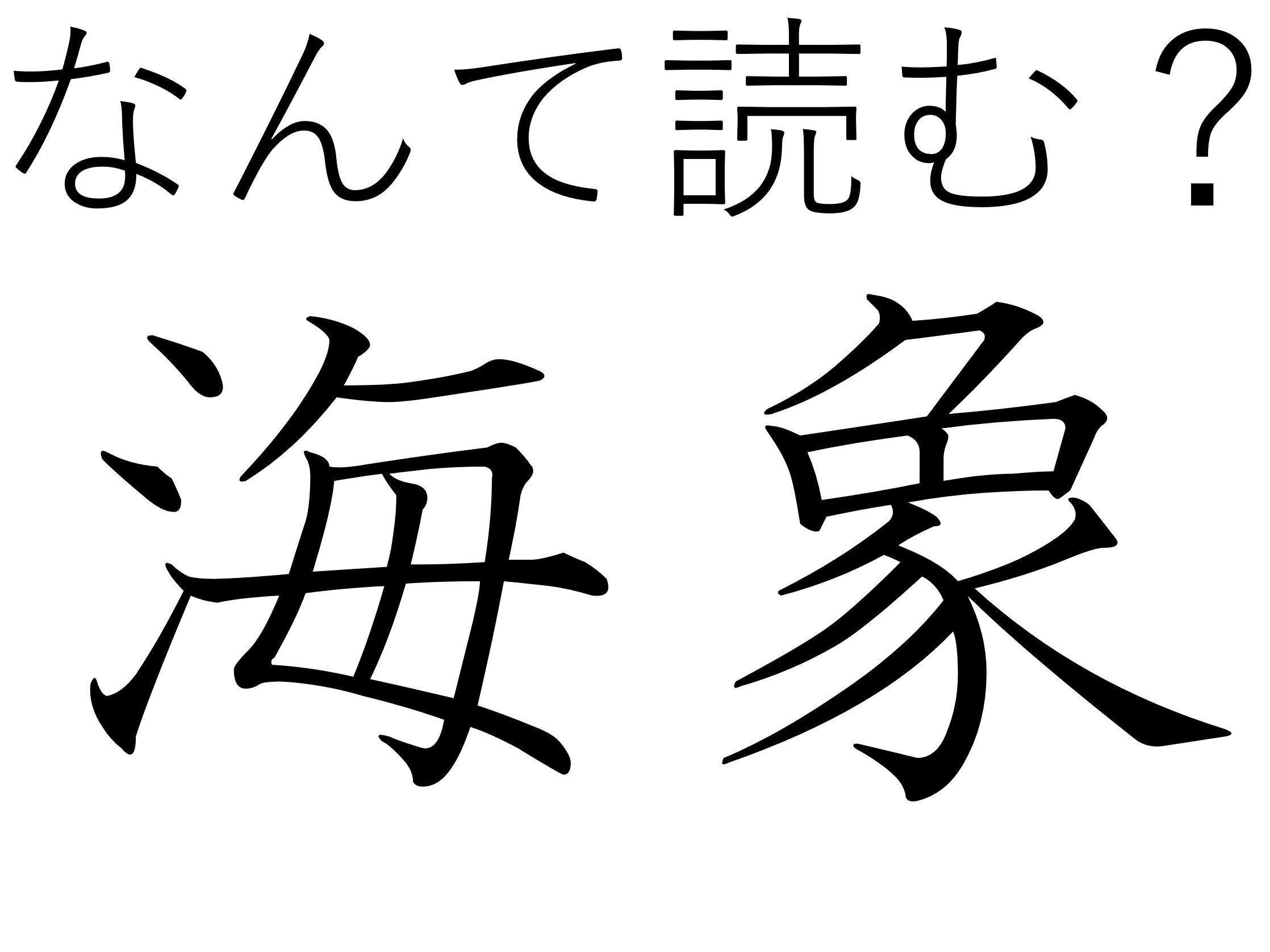 いわれてみるとちょっと似ている!難読漢字クイズ「海象」はなんて読む?