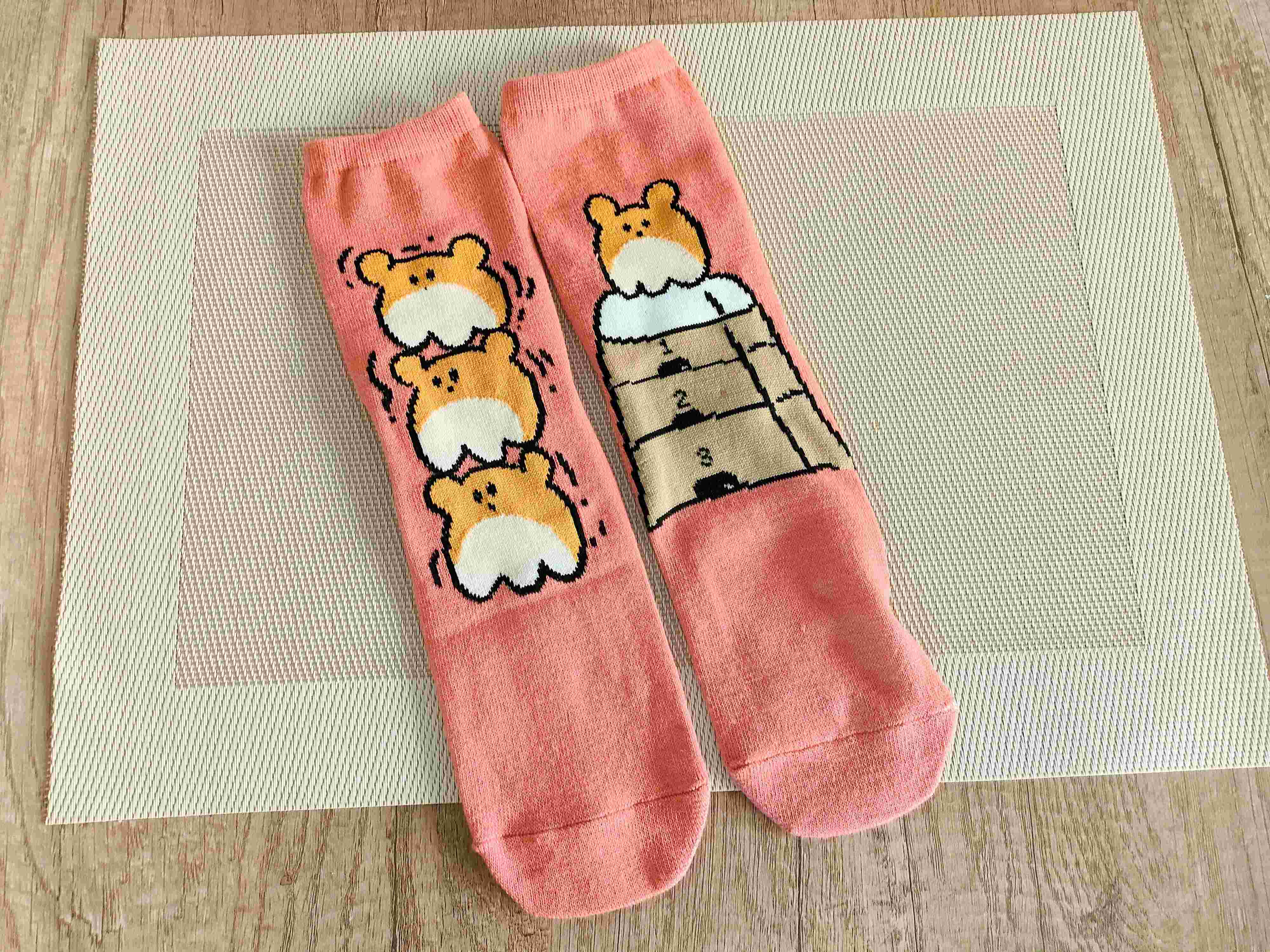 ダイソーのMIZOGUCHITOMOYAの靴下