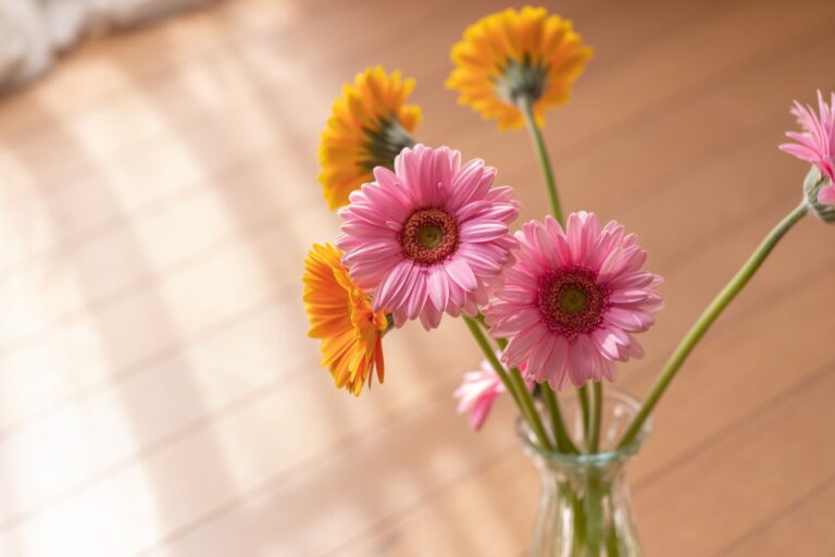 家を買ったあとこそ、家計を引き締めて！忙しくてもラクに続くやりくりで家計をミニマムにするアイデア