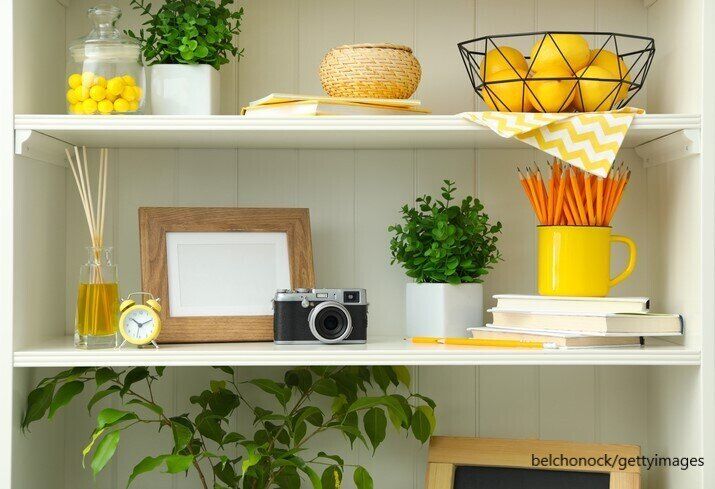 多肉植物 初心者 育て方