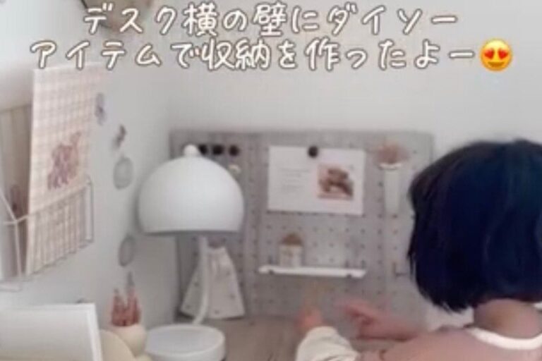 省スペースでスッキリ収納！【ダイソー】「550円は買いっ！」「収納が増やせるよ」おうちアイテム3選