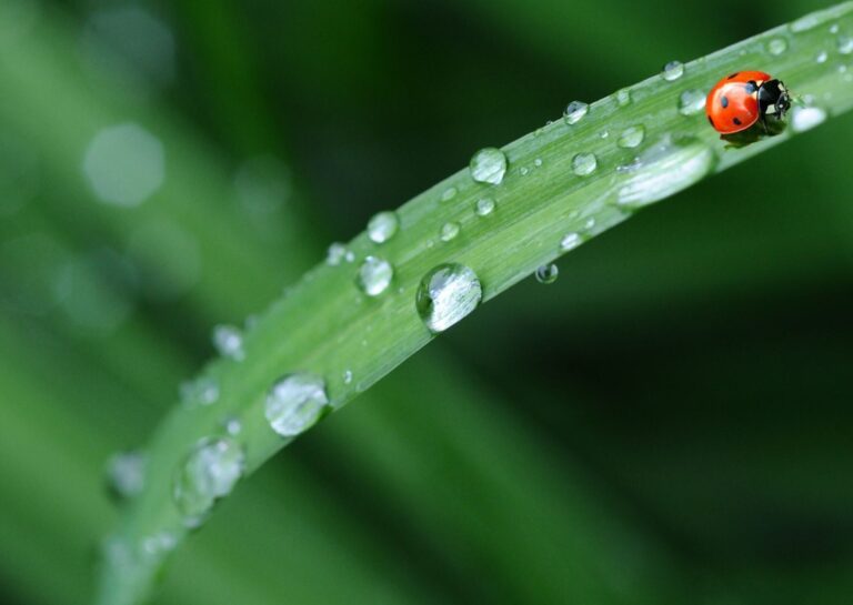 梅雨本番に後悔したくない！気象予報士がおすすめする「今すべき4つの行動」とは