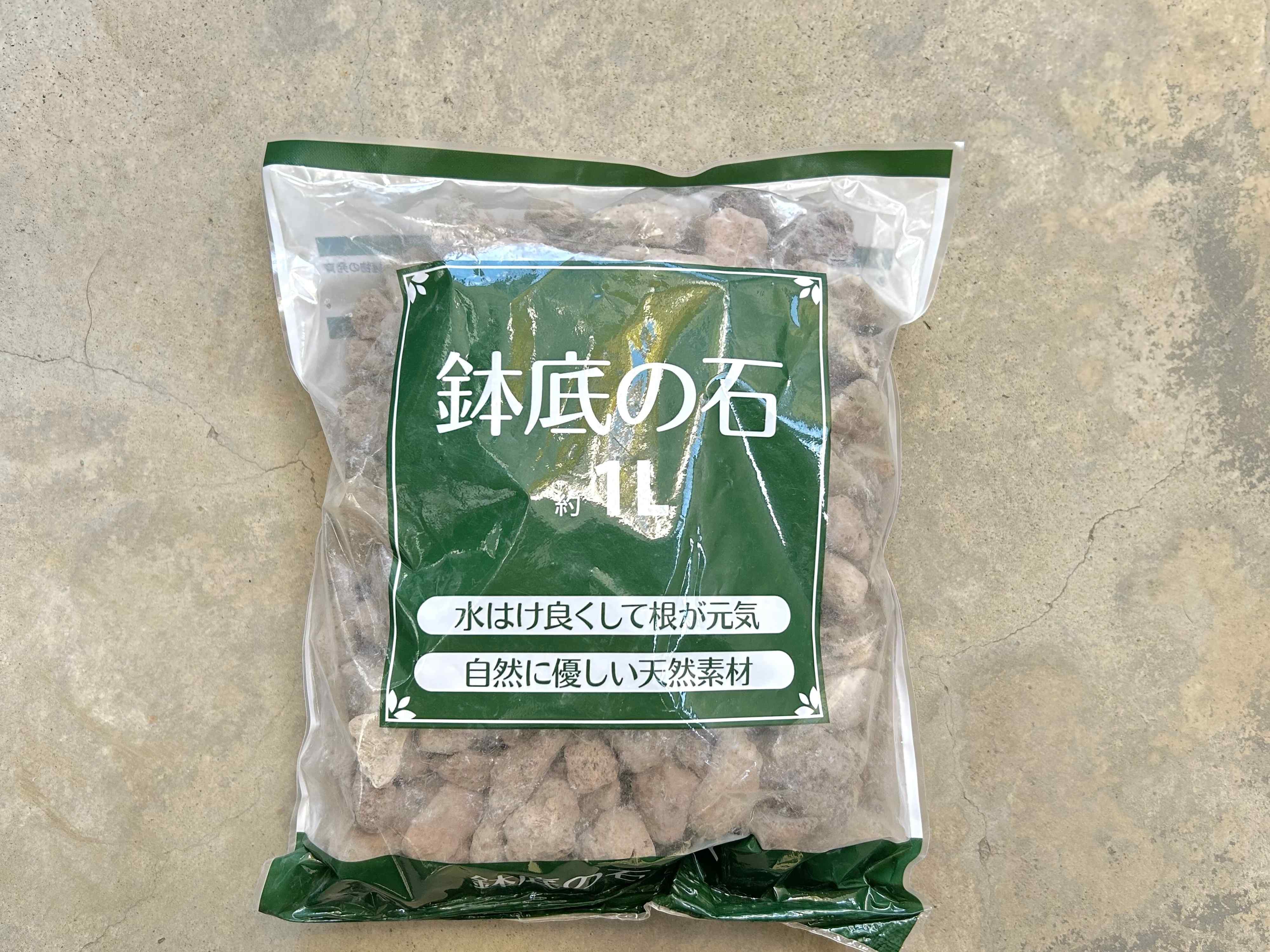 セリア 多肉植物 100均