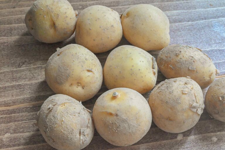 【旬食材】新じゃがいもの季節だ！おいしさを堪能♪新じゃがいもが主役の絶品レシピ3選