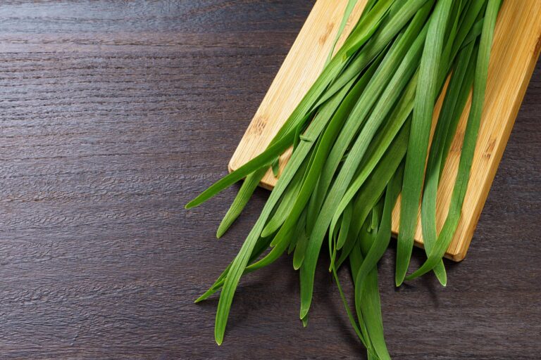 【旬食材】シャキシャキのニラを選ぶにはどこを見るべき？野菜ソムリエが解説