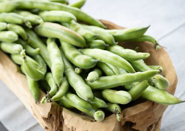 【旬食材】うぶ毛を見つけたら即買い！鮮度の高い「そら豆」の選びかたを野菜ソムリエが解説