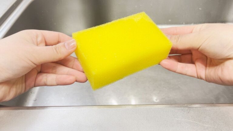 キッチンスポンジの除菌テクニック！清潔を保ちながら菌を防ごう