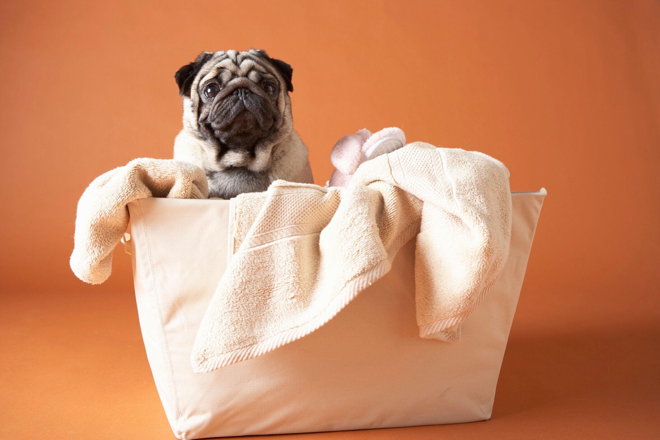 積み重なったすっきりとしたホワイトのランドリーとレッドソックス