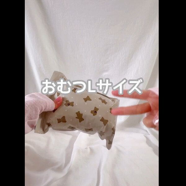 【セリア】外出先で役立つ！サニタリーバッグ