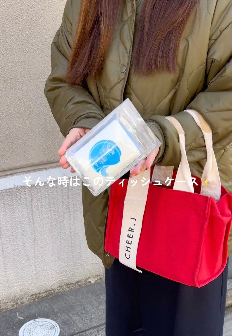 神グッズ見つけた!「ごみ入れ付きポケットティッシュケース」