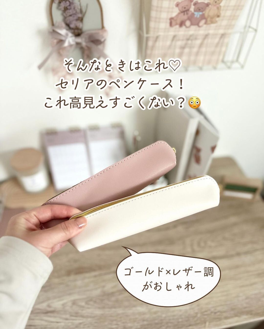 【セリア】高見えすごい!コンパクトなペンケース