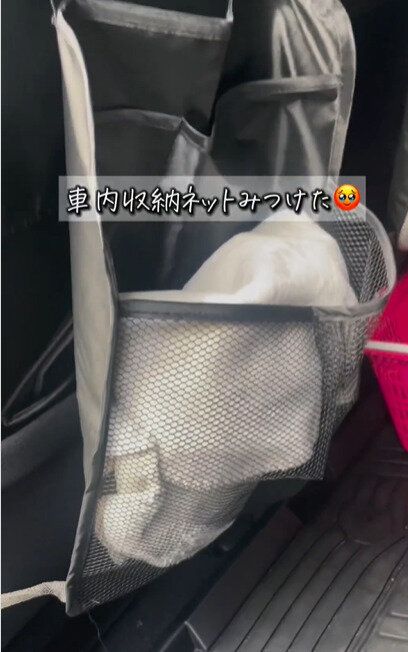 ダイソーの「車内用ポケットバック」