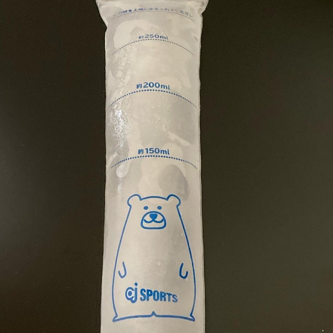 ダイソーの「極太水筒用氷棒 ＩＣＥＳ―Ｂ」